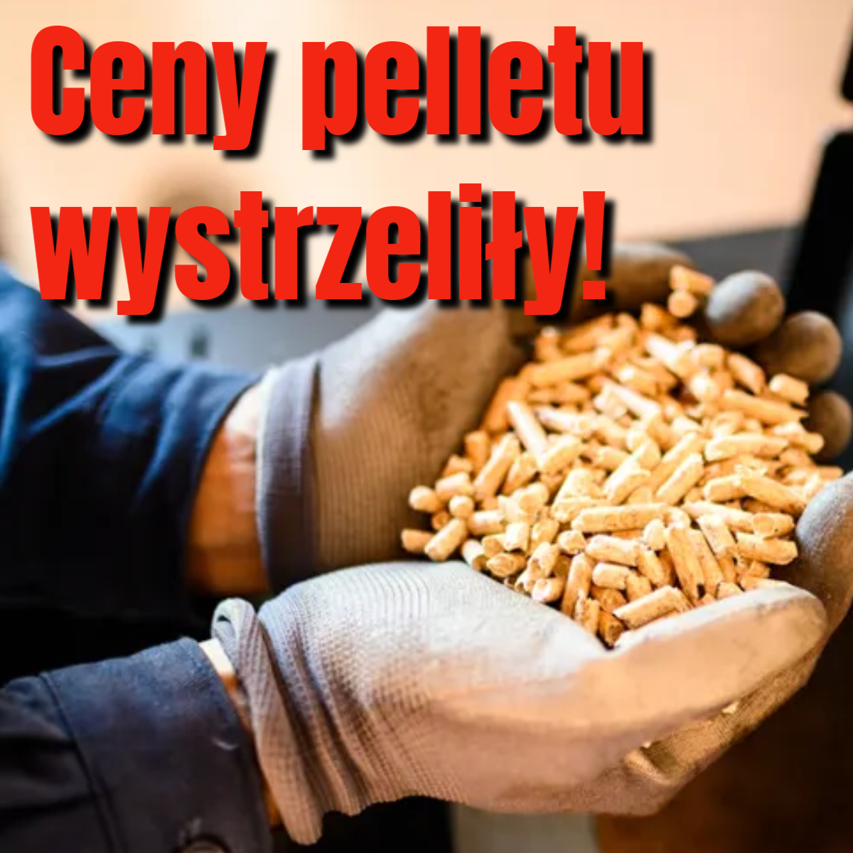 pellet
