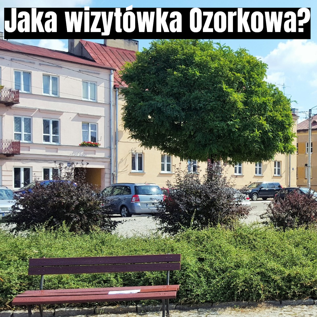 witacz
