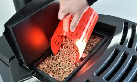 pellet