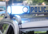 policja