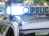 policja