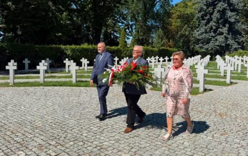 kwiaty w święto
