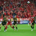 widzew